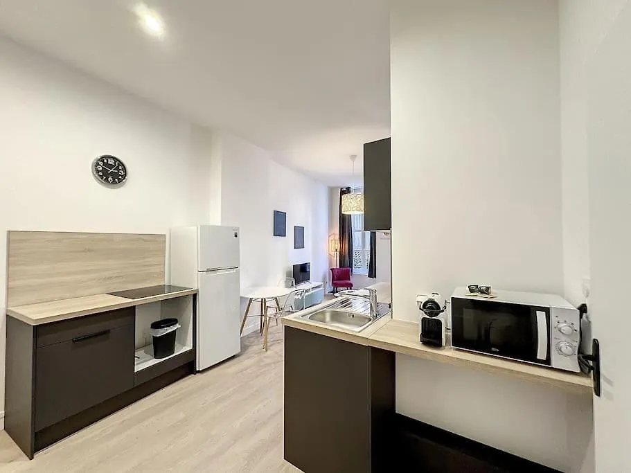 Cosy Appt, Centre De Lyon Bellievre 2 Apartment France